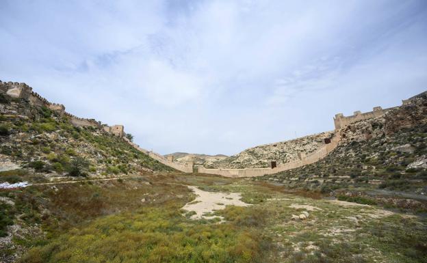 Diez empresas optan a la ejecución de las obras que transformarán La Hoya