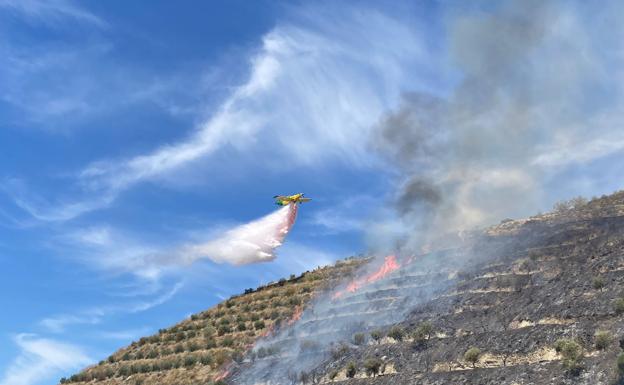 Extinguido el incendio declarado en Güéjar Sierra