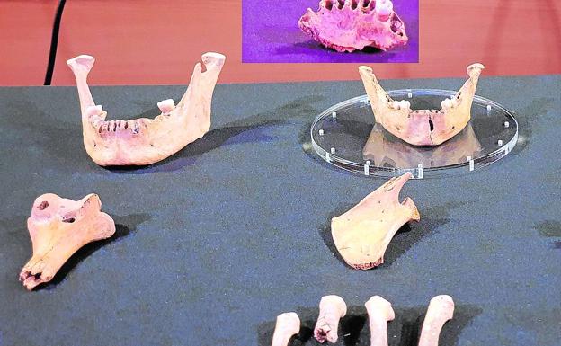 Cráneos y mandíbulas humanas de más de 3.000 años en la Cueva del río Cuadros de Bedmar