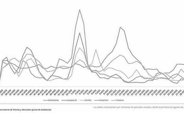 Coag insta a los agricultores a que hagan ya contratos ante el inicio de la campaña