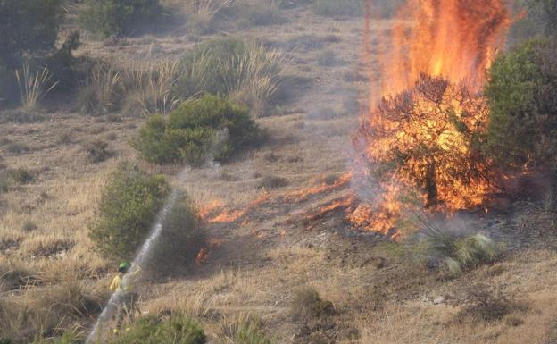 La Junta pide «colaboración» a los alcaldes granadinos por «riesgo extremo» de incendios forestales