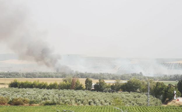 Movilizan medios aéreos para extinguir un leve incendio forestal en Villanueva