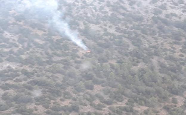 Declarado un incendio en una zona forestal de Vélez-Blanco