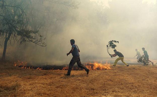 Frenan el incendio de Ávila tras calcinar 12.000 hectáreas