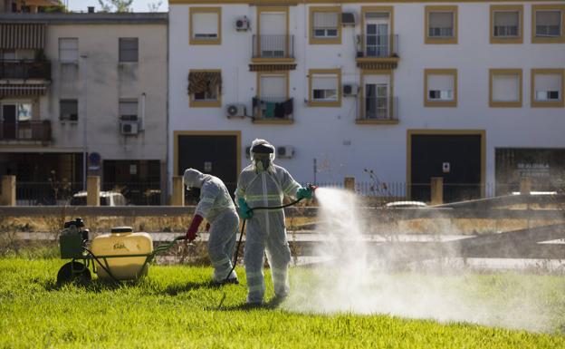 Fallece una de las personas ingresadas por virus del Nilo Occidental