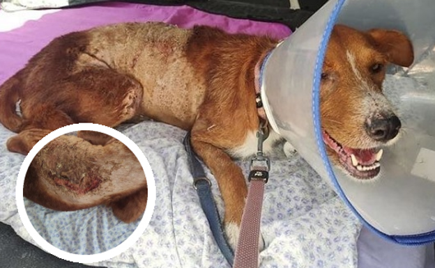 Investigan a tres personas por dos incendios ocurridos en Güéjar Sierra y Murtas