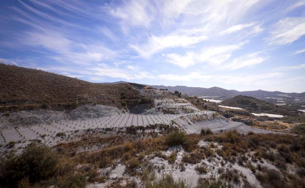 La agroindustria despega en Motril con la instalación de empresas millonarias