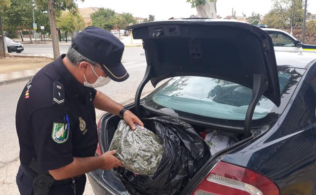 Detienen en La Carolina a dos hombres que llevaban cinco kilos de marihuana en el maletero