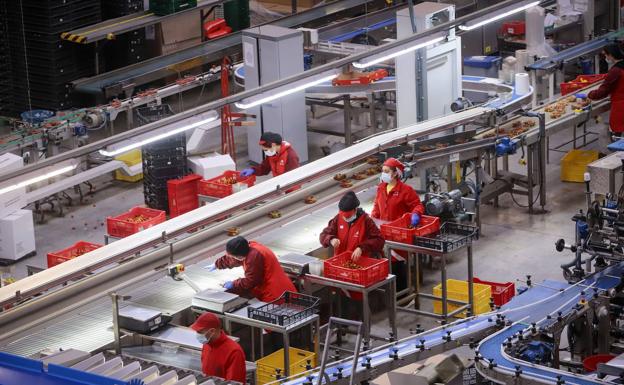 El sector agrario alerta de la pérdida de renta que provocarán los ecoesquemas de la PAC