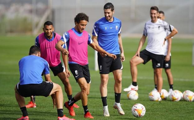 Luis Milla, fuera de la convocatoria por lesión