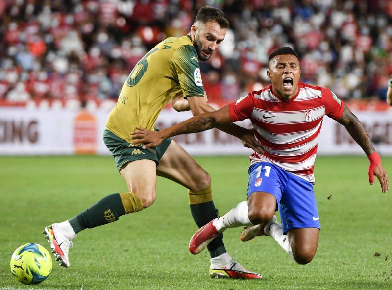 La teoría de Machís flaquea