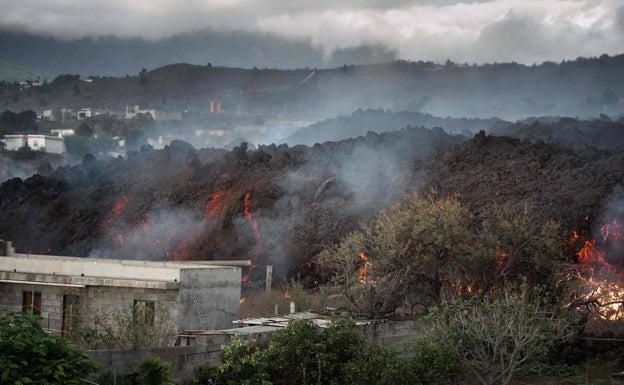 «Acerté a pronosticar hace años la erupción, pero no soy un chamán»