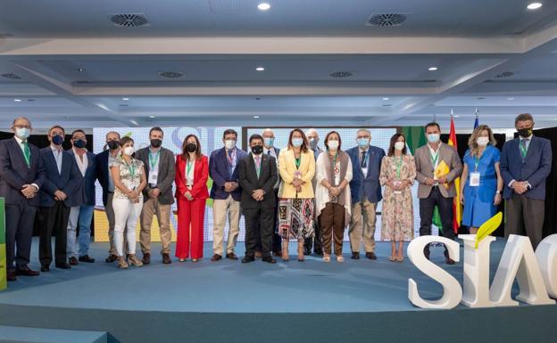 El aforo y el poco stock auguran una campaña de aceituna sin sobresaltos en el precio del aceite