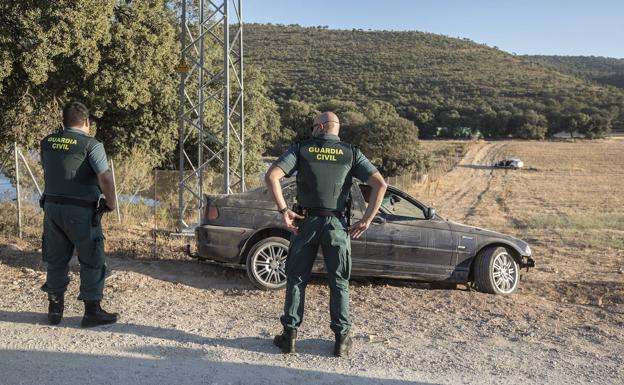 Roban parte de las 40.000 plantas de cannabis requisadas en la finca de Escúzar