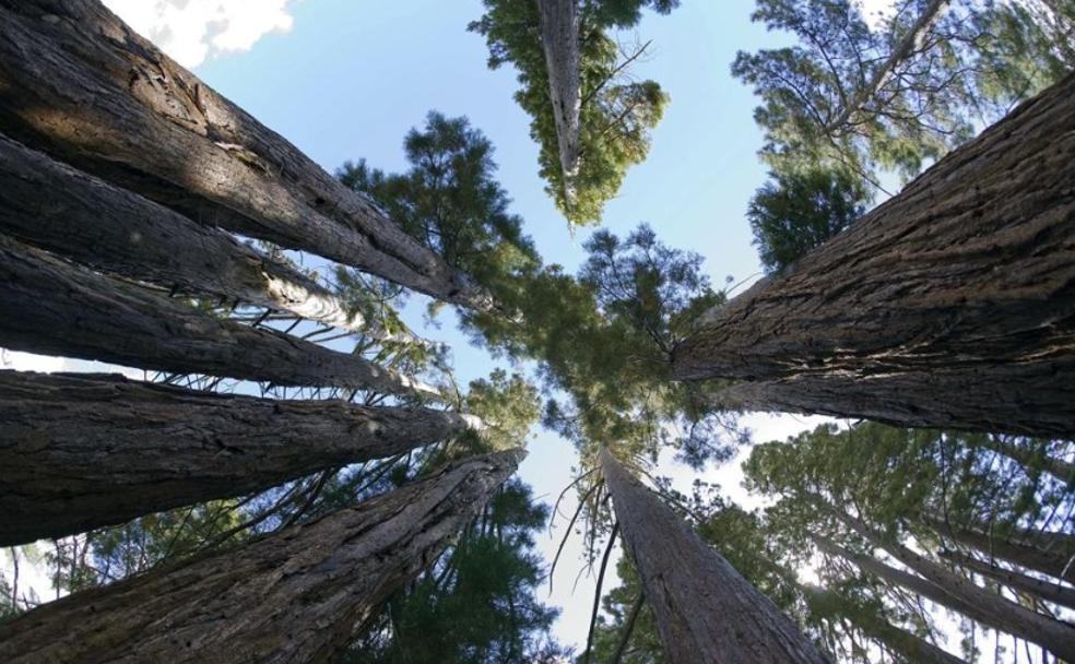 El pequeño Yosemite de la Sierra de la Sagra