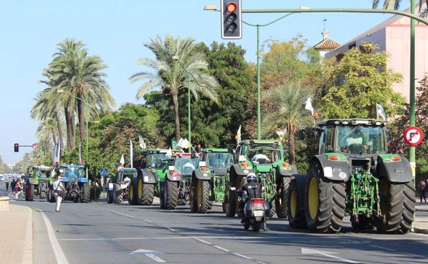 Un centenar de vehículos de Jaén protestan en Sevilla por el «bocado» de la nueva PAC