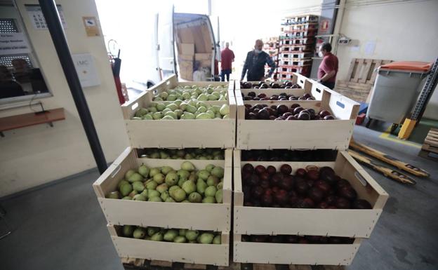 Uno de cada diez almerienses ha requerido ayuda del banco de alimentos desde que comenzó la pandemia