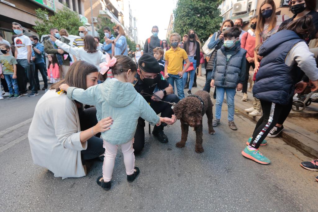 Granada no falla y el Día sin Coche pone a reventar el centro