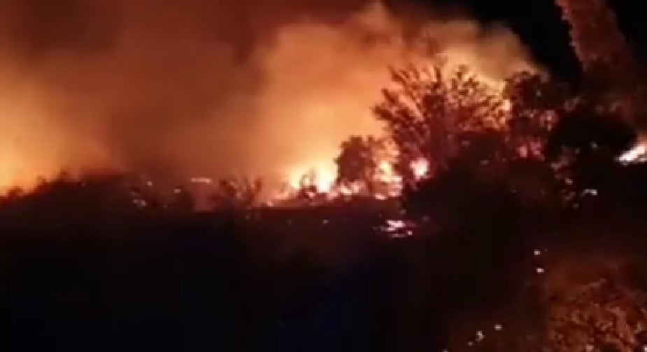 Controlado un incendio forestal registrado esta madrugada en Órgiva