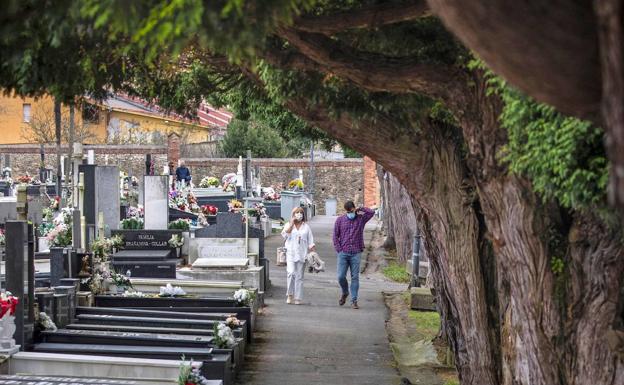 Cementerios, grandes desconocidos