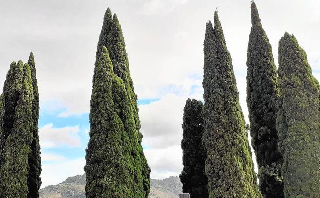 Conversaciones entre vivos y muertos