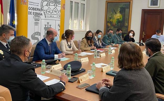 Advierten del riesgo de robo de aceituna en Jaén tras sustraerse en la pasada más de 121.000 kilos