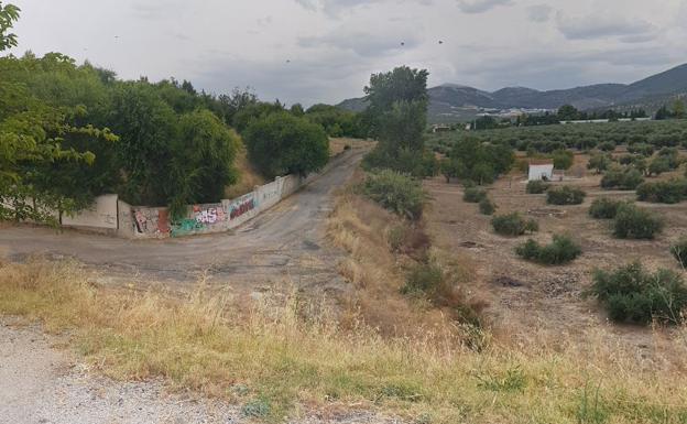 Dos meses de prisión por arrastrar un perro con su coche