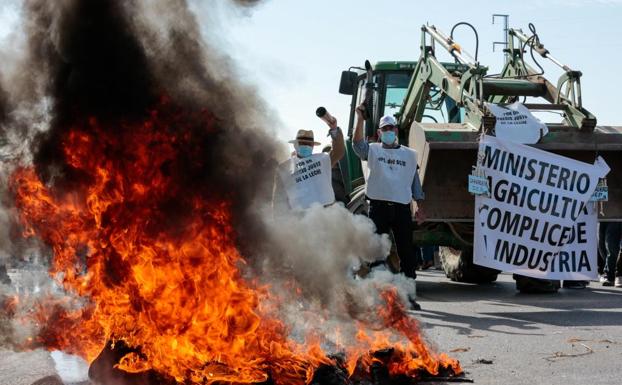 Ganaderos granadinos irrumpen en la fábrica de Puleva para exigir precios justos para la leche