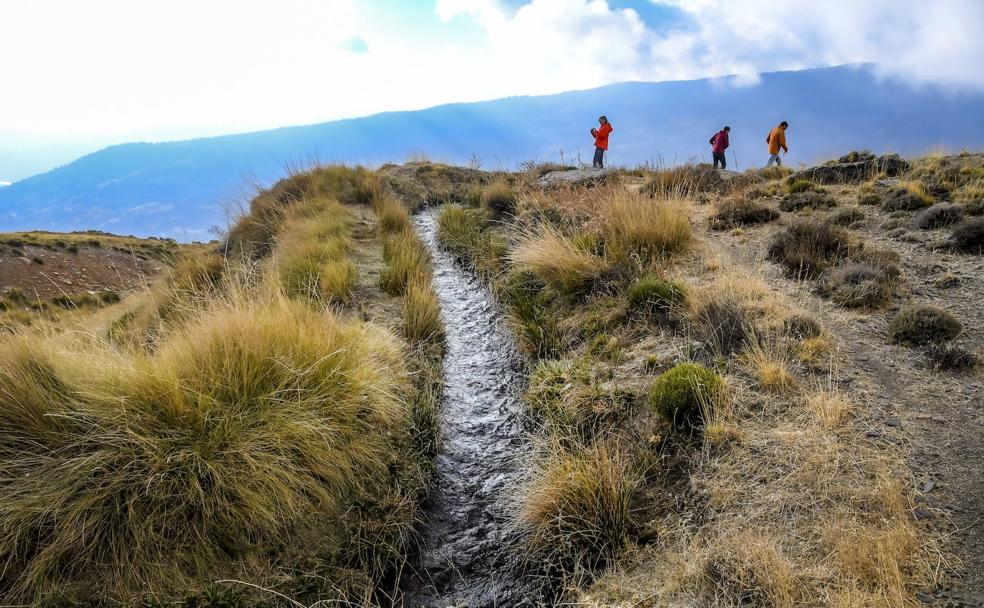 Siembra de agua en Granada en favor del clima
