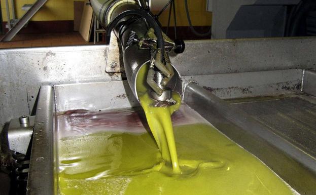 La Junta no descarta hacer un nuevo aforo del aceite en Jaén este mismo mes, a la espera de lluvias la próxima semana