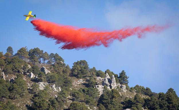El incendio de Víznar no alcanza un pinsapar de elevado valor y no descartan la intencionalidad del fuego