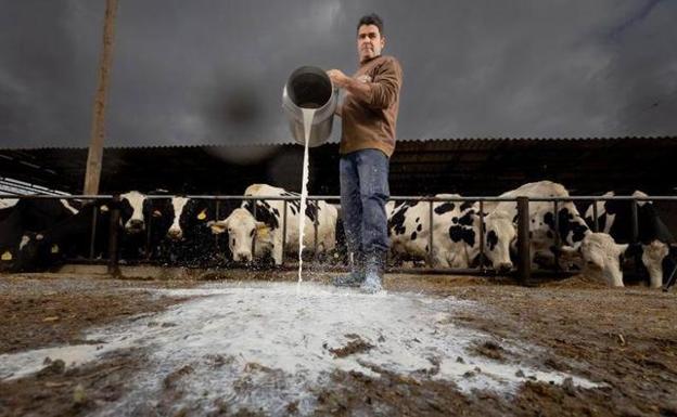 Las 5 noticias destacadas del domingo en Granada que no te puedes perder