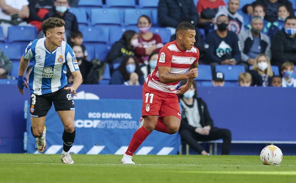 Teoría de la involución de Darwin