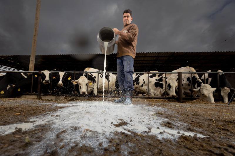 Lidl lanza una leche que garantiza rentabilidad a los ganaderos granadinos