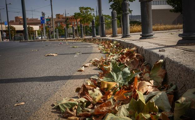 Meteorología aclara las provincias andaluzas en las que lloverá esta semana
