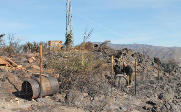 20 horas de asedio y angustia por las llamas en Gualchos