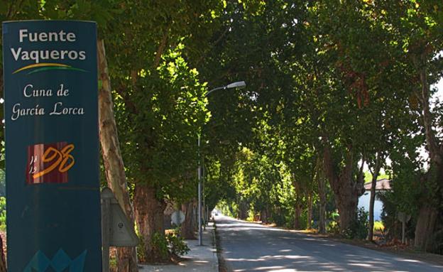 Fallece un hombre tras caerle encima un árbol mientras descargaba un camión en Fuente Vaqueros