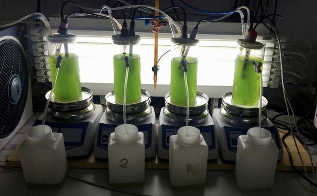 Investigadores de la UAL crean un simulador para el uso de microalgas en tratamientos de aguas residuales