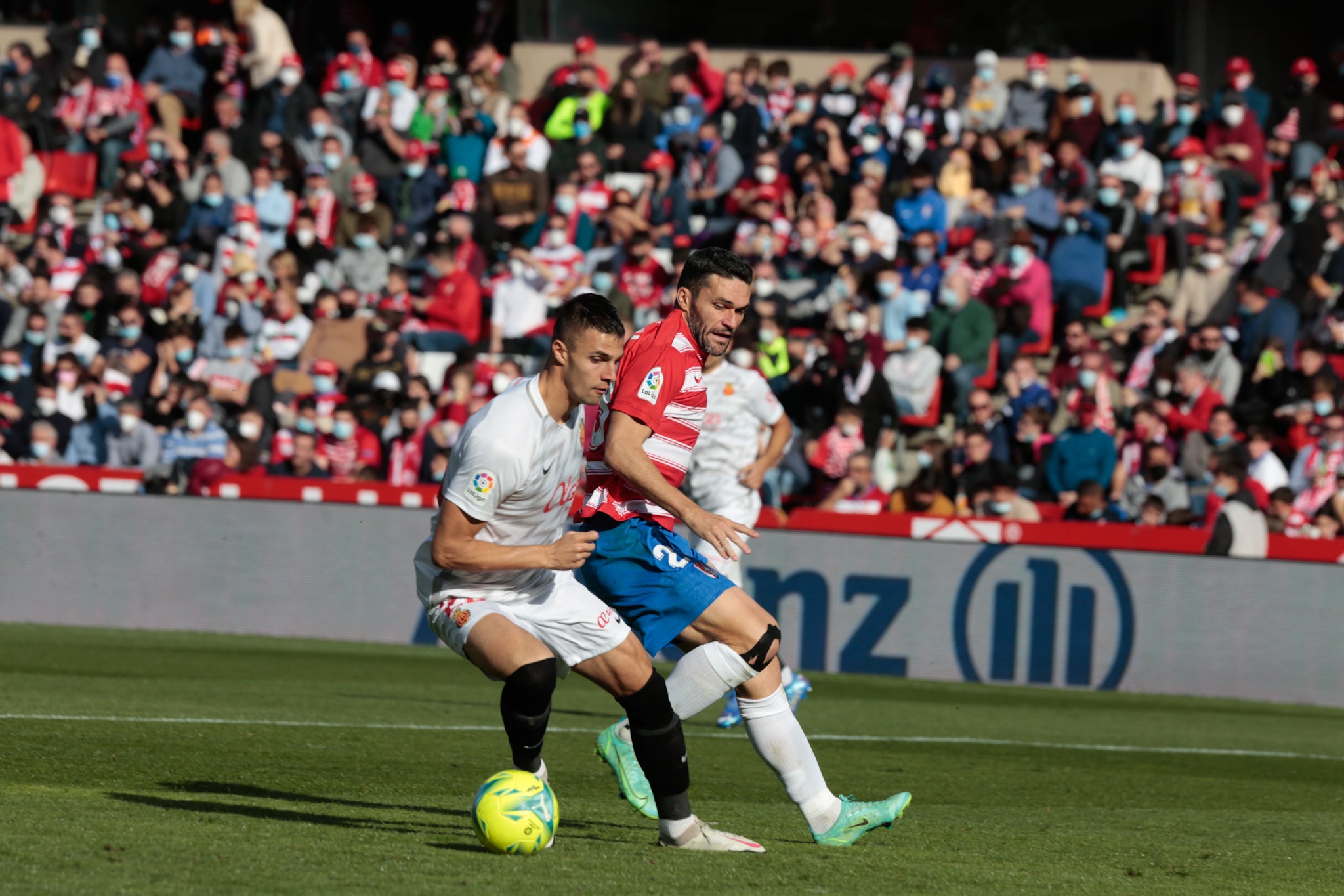 Jorge Molina: «Sabemos que lo que pasó en la Copa no se puede permitir»