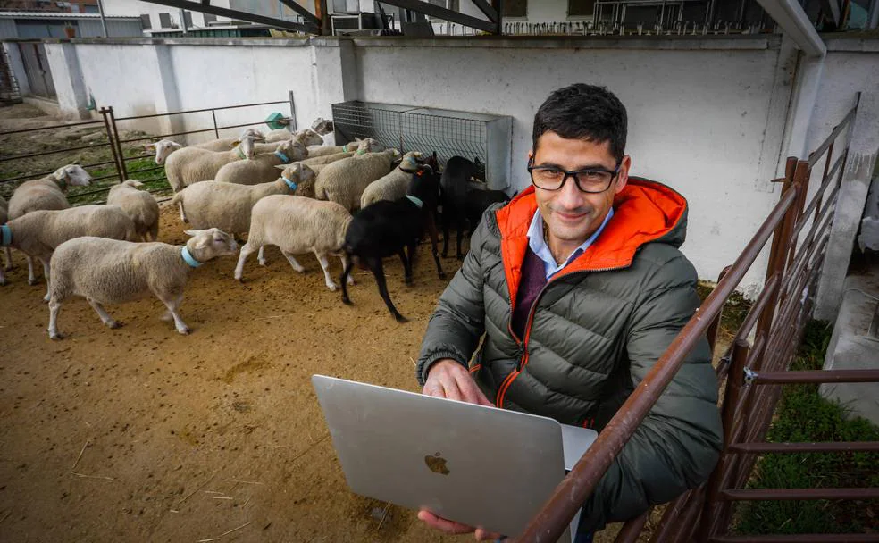 Crean en Granada el primer aditivo que reduce las emisiones de metano en el ganado