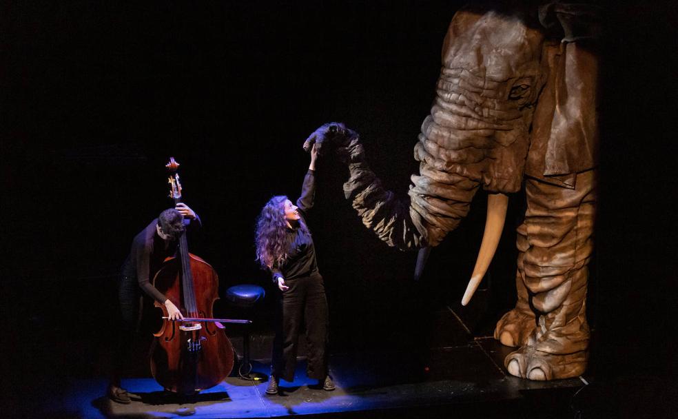 Una navidad cargada de cultura y espectáculos en Granada