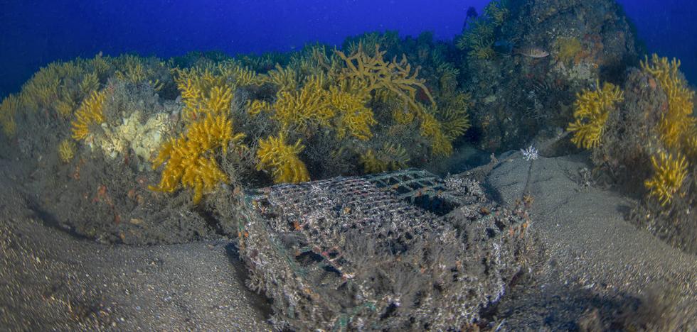 Expertos de la UGR apoyan el proyecto para prohibir la pesca recreativa en Punta de la Mona