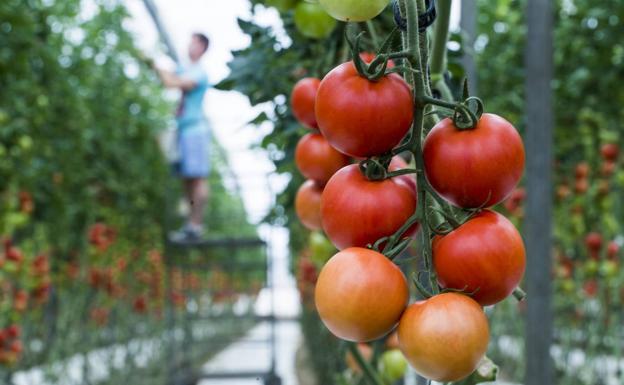 Del campo a la calle, una renovación no negociable