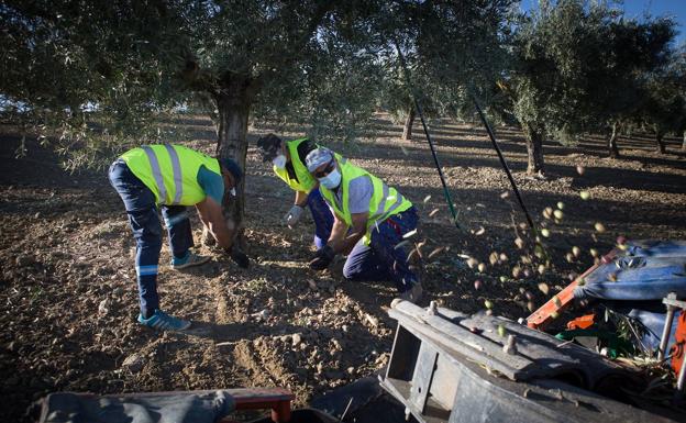 Jaén inicia el año con el mayor descenso del paro en España y 6.700 desempleados menos que en 2021