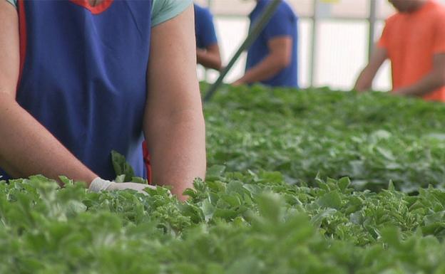 La Reforma Laboral modifica la contratación «sin tener en cuenta la temporalidad»