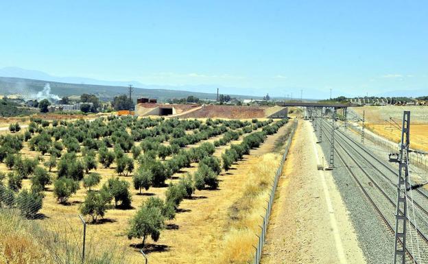 Nuevo paso administrativo para el proyecto del Área Logística de Linares