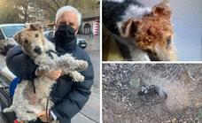 El perro 'superhéroe' de Granada que sobrevivió seis días en un agujero entre la nieve y sin agua