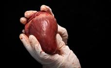 España marca un nuevo hito con la donación de órganos de pacientes covid