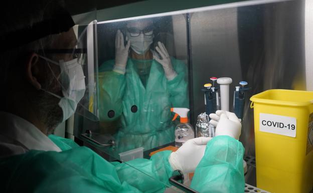 La OMS avanza que este año llegará «el fin de la fase aguda de la pandemia»