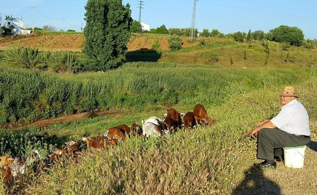 Jaén, ejemplo de ganadería sostenible, cuenta con 16 grandes instalaciones intensivas y de las mayores de España